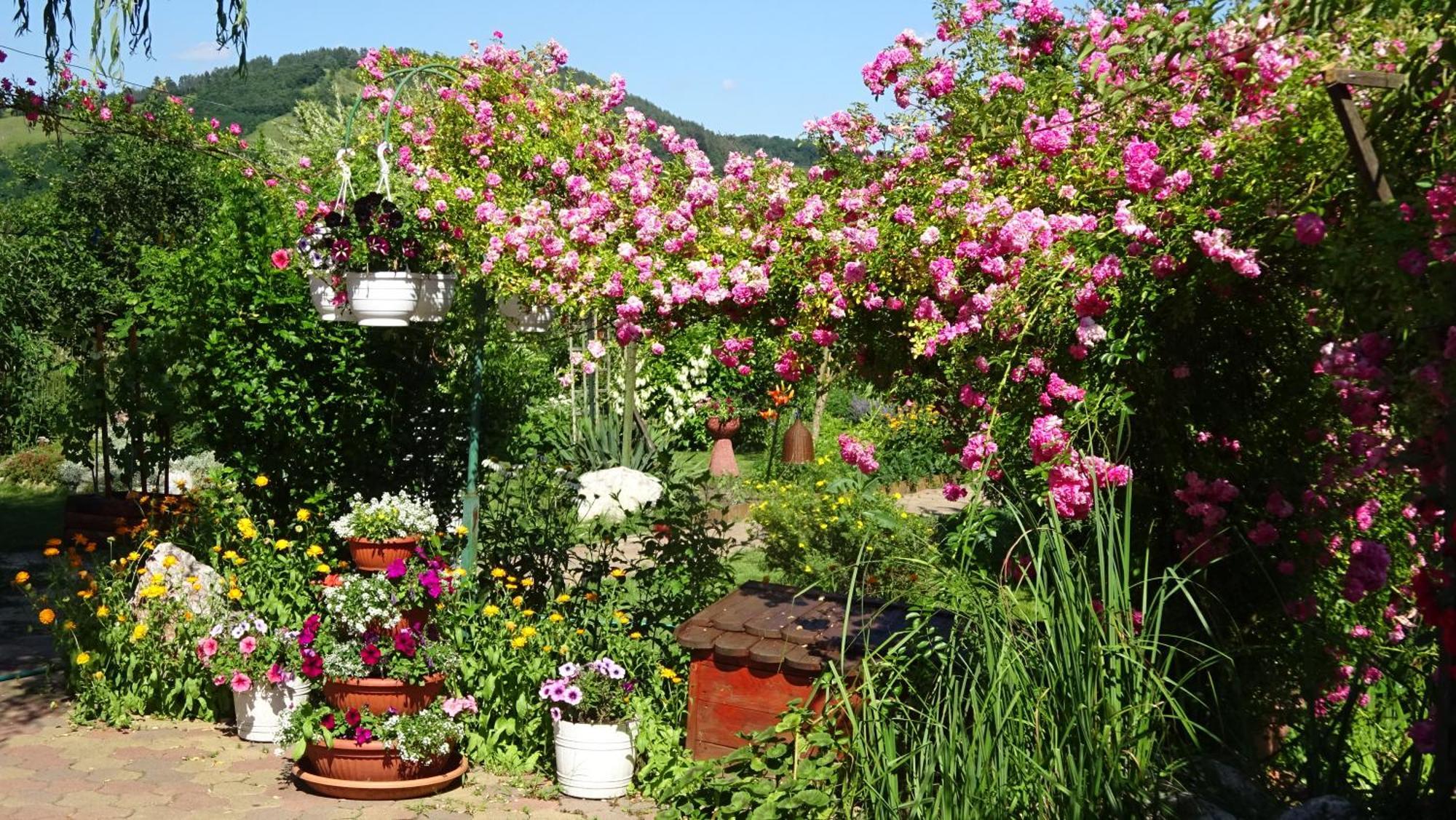 Holiday Vendeghaz Es Szabadidokert Jardanhaza Exterior foto